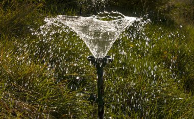 Çim Sulama fıskiyeleri flowerbed yukarıda