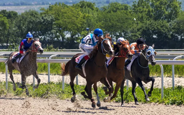 Pyatigorsk,Caucasus,Russia.Ahead - ana jokey Tihonov kahverengi aygır üzerinde ilaç aygır Ödülü için yarış Pyatigorsk, Rusya Federasyonu - 03 Haziran 2018:Horse.