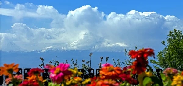 View Majestic Mount Ararat Yerevan Armenia Legendary Resting Place Noah — Stock Photo, Image