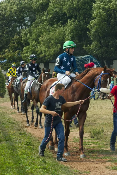 Voordat de paardenrace voor de geweldige zomer prijs. — Stockfoto