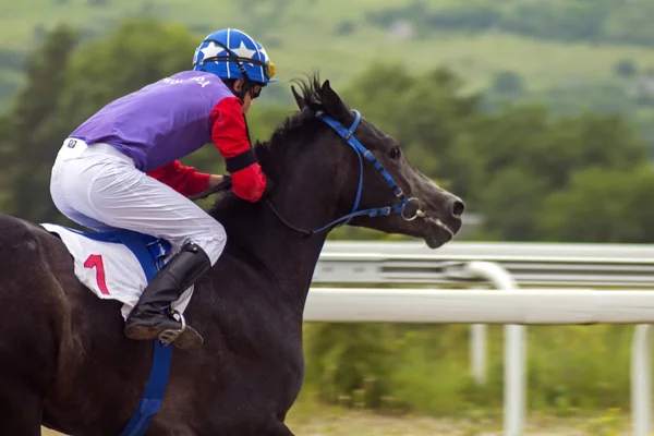 Pyatigorsk Russie Juin 2018 Course Chevaux Pour Prix Ogranichitelni Pyatigorsk — Photo