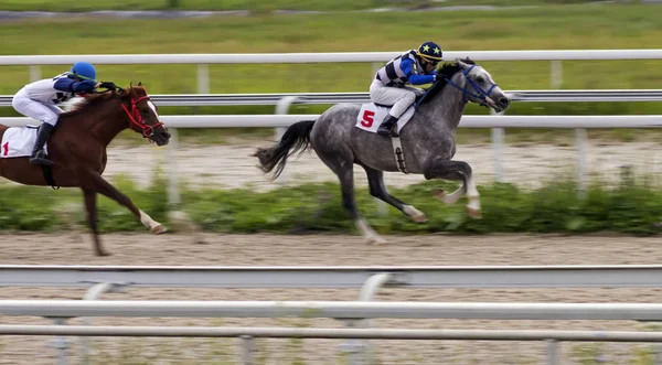 Pyatigorsk Federacja Rosyjska Czerwca 2018 Horse Racing Nagrodę Letni Pyatigorsk — Zdjęcie stockowe