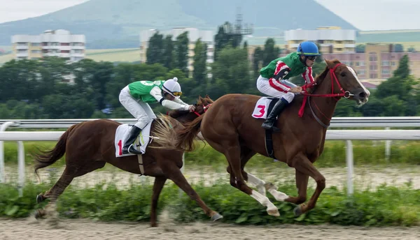 Pyatigorsk Russia Giugno 2018 Corse Cavalli Premio Dei Letni Pyatigorsk — Foto Stock