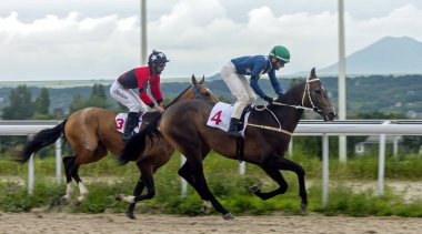 Pyatigorsk,Caucasus,Russia.Ahead - ana jokey Hamzat Ulubaev kahverengi aygır üzerinde Letni Ödülü için yarış Pyatigorsk, Rusya Federasyonu - Haziran 17, 2018:Horse.