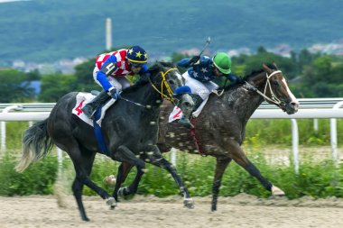 Pyatigorsk,Caucasus,Russia.Ahead - ana jokey Hamzat Ulubaev kahverengi aygır üzerinde Ogranichitelni Ödülü için yarış Pyatigorsk, Rusya Federasyonu - 24 Haziran, 2018:Horse.