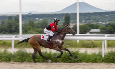 Pyatigorsk,Caucasus,Russia.Ahead - ana jokey Imran Mardanov kahverengi aygır üzerinde Ogranichitelni Ödülü için yarış Pyatigorsk, Rusya Federasyonu - 24 Haziran, 2018:Horse.