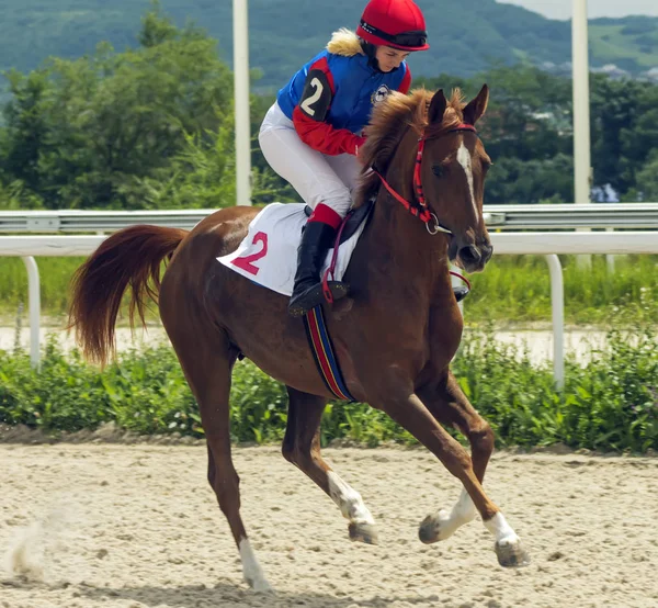 Pyatigorsk Rusia Junio 2018 Carreras Caballos Por Premio Del Ogranichitelni —  Fotos de Stock