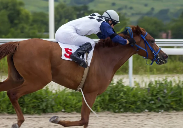 Pyatigorsk,Caucasus,Russia.Ahead - ana jokey Gusein Guseinov kahverengi aygır üzerinde Letni Ödülü için yarış Pyatigorsk, Rusya Federasyonu - 24 Haziran, 2018:Horse.