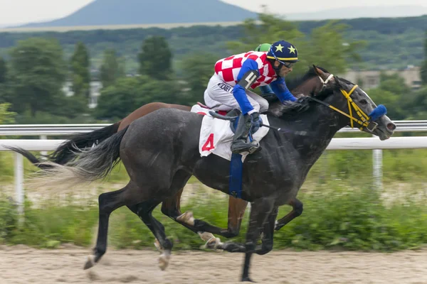 Pyatigorsk Rússia Junho 2018 Corrida Cavalos Para Prêmio Ogranichitelni Pyatigorsk — Fotografia de Stock