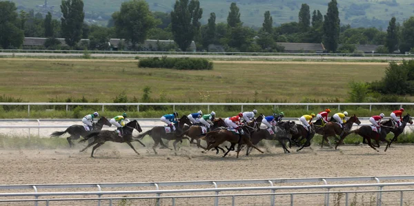 Carreras de caballos para el premio de los robles en Pyatigorsk . — Foto de Stock