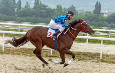 Pyatigorsk, Rusya Federasyonu - 15 Temmuz 2018:Horse Ogranichitelni Pyatigorsk, Russia.Ahead - master en eskisi ve genişi racecourses içinde ödül için yarış ve kahverengi aygır Strike lideri Hutkov Rizuan jokey.