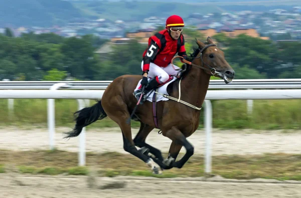 ピャチゴルスク Russia Ahead マスター ジョッキー Saitgaleyev Ilgiz Korvet Ser の栗毛の牡馬で最大かつ最古の競馬場の一つでスーパース — ストック写真