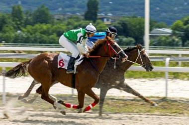 Derby Jasil Pyatigorsk, Rusya'nın en büyük ve en eski racecourses içinde onur ödülü için yarış Pyatigorsk, Rusya Federasyonu - 22 Temmuz 2018:Horse.