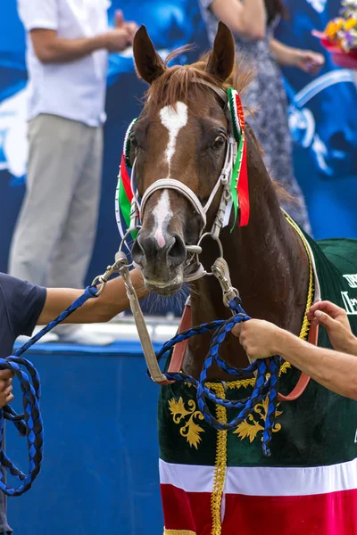 Πιατιγκόρσκ Ρωσία Ιουλίου 2018 Winner Βραβείο Του Πρώτου Προέδρου Της — Φωτογραφία Αρχείου