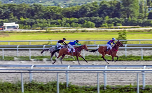 Ятигорську Російська Федерація Серпня 2018 Horse Гонки Приз Shamborant Ятигорську — стокове фото