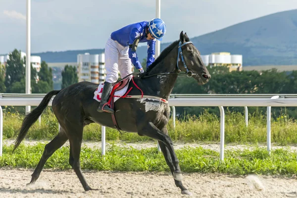 Pyatigorsk Rusia Agosto 2018 Finalizar Las Carreras Caballos Para Premio — Foto de Stock