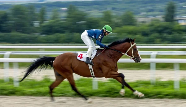 Pjatigorsk Rusko Srpna 2018 Horse Racing Cenu Přátelství Národů Hipodromu — Stock fotografie