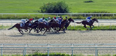 G.V. Kaishev - Pyatigorsk Hipodrom, Kuzey Kafkasya, Rusya Şampiyonlar Kupası anısına ödül için yarış Pyatigorsk, Rusya - Eylül 02 2018:Horse.
