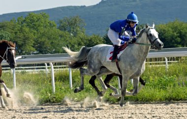 Pyatigorsk, Rusya - Eylül 02, 2018:Finish at karşılaştırması, Gasanov Müslüman Pyatigorsk Hipodrom, Kuzey Kafkasya, Rusya üzerinde ödül için yarışı.