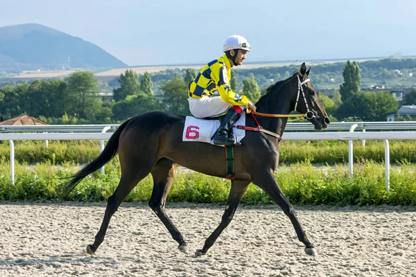 ピャチゴルスク ロシア連邦 2018 ピャチゴルスク Hippodrome Russia Master Klyukovsky の名誉の賞のための競馬騎手 Hatkov — ストック写真