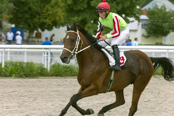 Horse racing för priset av jämförelse. — Stockfoto