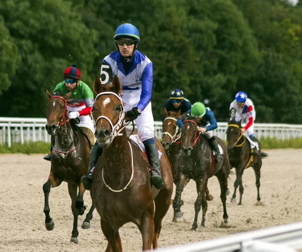 Afwerking paardenrace voor de prijs van Ogranichitelni. — Stockfoto