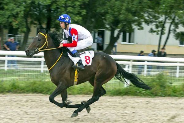 Pyatigorsk Russia September 2018 Horse Race Prize Ogranichitelni Pyatigorsk Hippodrome — Stock Photo, Image