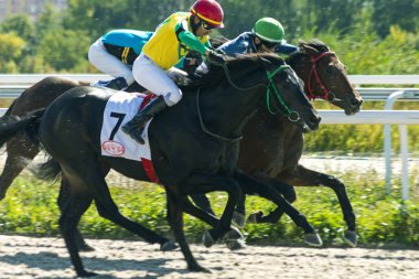 Pyatigorsk, Rusya - Eylül 29, 2018:Horse yarış Ogranichitelni Ödülü için Pyatigorsk Hipodrom, Kuzey Kafkasya, Rusya Federasyonu.
