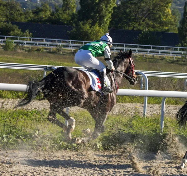 Pyatigorsk Russia September 2018 Horse Race Prize Zakritia Pyatigorsk Hippodrome — Stock Photo, Image