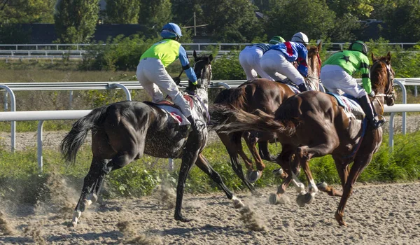 Pyatigorsk Federacja Rosyjska Września 2018 Horse Wyścig Nagrodę Zakritia Hipodromie — Zdjęcie stockowe