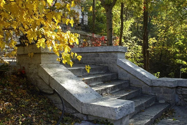 Старая Лестница Парке Осенний День — стоковое фото