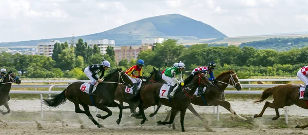 Pyatigorsk Rússia Julho 2018 Corrida Cavalos Pelo Prêmio Letni Hipódromo — Fotografia de Stock