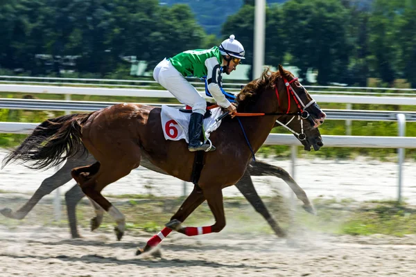 Pyatigorsk Rússia Julho 2018 Termine Corridas Cavalos Pelo Prêmio Letni — Fotografia de Stock
