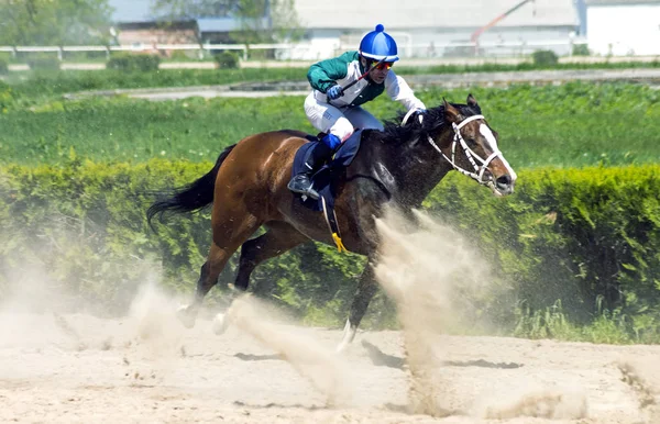 Nalchik Rússia Maio 2018 Termine Corridas Cavalos Pelo Prêmio Letni — Fotografia de Stock