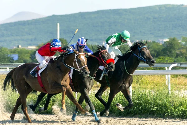 Paardenrace in Pyatigorsk. — Stockfoto