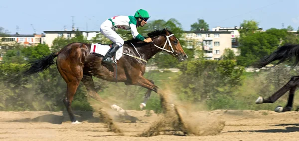 경마상을 수상한 "로지포드롬". — 스톡 사진