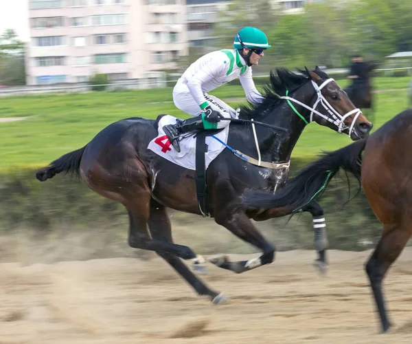 Hästkapplöpning till priset Otkritia. — Stockfoto