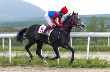 Ödül Otkritia için at yarışı.