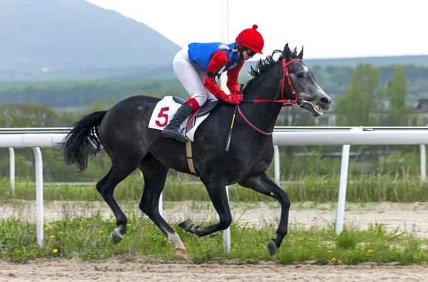 Corrida de cavalos para o prêmio Otkritia . — Fotografia de Stock