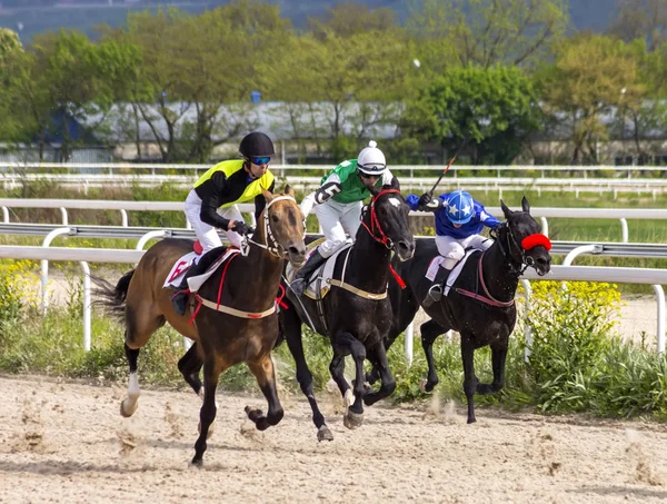 Corrida de cavalos para o prêmio Dia da Vitória no Pyatigorsk — Fotografia de Stock