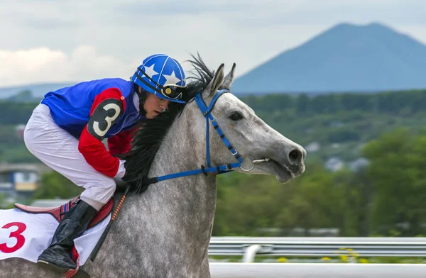 ジョッキーと彼の馬. — ストック写真