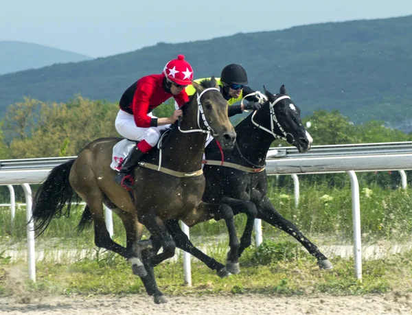 Wyścigów konnych w mieście Pyatigorsk. — Zdjęcie stockowe
