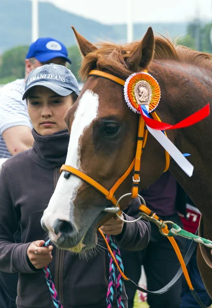 Gewinner des Preises. — Stockfoto