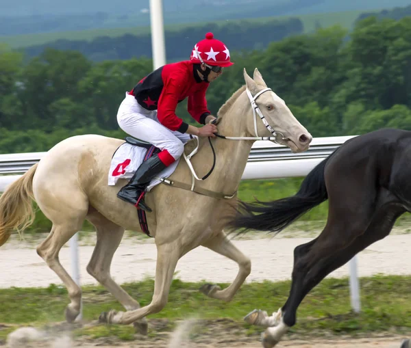 Hästkapplöpning i Pyatigorsk Hippodrome. — Stockfoto