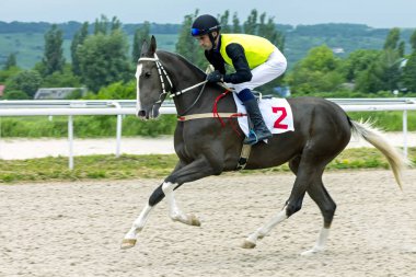 Pyatigorsk hipodromda at yarışı.