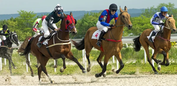 Wyścig koni w Hippodrome Piatigorsk. — Zdjęcie stockowe