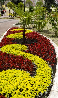 Resort Pyatigorsk güzel flowerbed