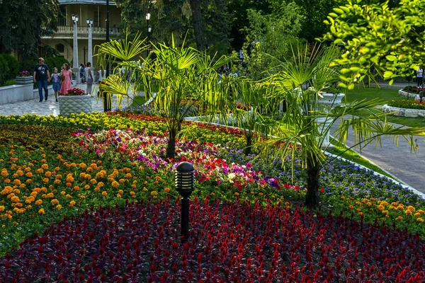 Belo canteiro de flores no resort Pyatigorsk — Fotografia de Stock