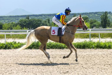önce at yarışı.