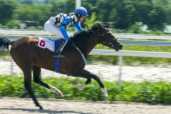 Carrera de caballos en Pyatigorsk . — Foto de Stock